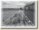 swkd_21_maj_081 * Na szlaku Pińczów-Umianowice * 2592 x 1944 * (1.81MB)